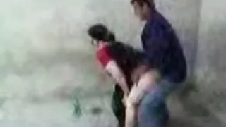 Đàn ông thu hút mỏng học phim sex không che gái xinh sinh với động vật có vỏ